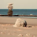 Aime Aan Zee, Luxury With Garden & Parking, 3 Min From 别墅