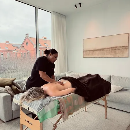 Aime Aan Zee, Luxury With Garden & Parking, 3 Min From 别墅 奥斯滕德